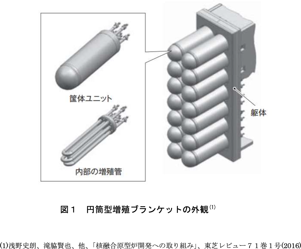 核融合炉向け増殖ブランケットの開発